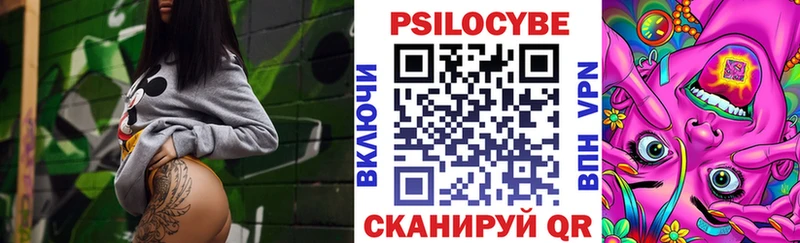 omg ссылка  Дрезна  shop Telegram  Галлюциногенные грибы Cubensis 